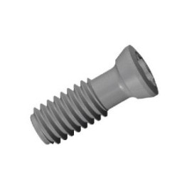 SR 16-236 TORNILLO