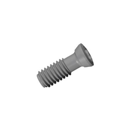 SR 16-236 TORNILLO