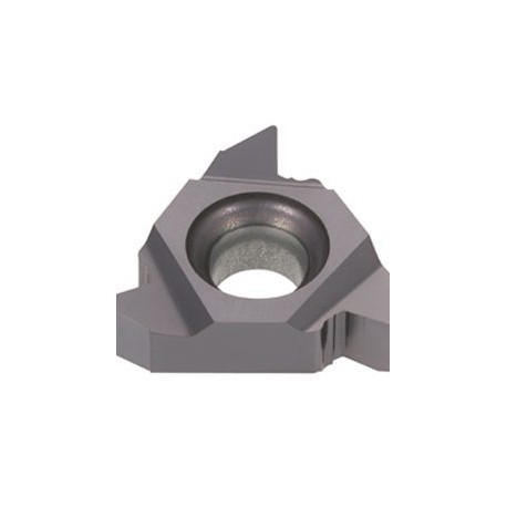 22ERN60 T313V