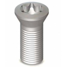 TORX SCREW (M2.5X0.45 – 6.5M OAL)