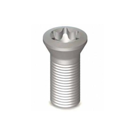 TORX SCREW (M2.5X0.45 – 6.5M OAL)